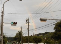 ホームページリニューアルしました。